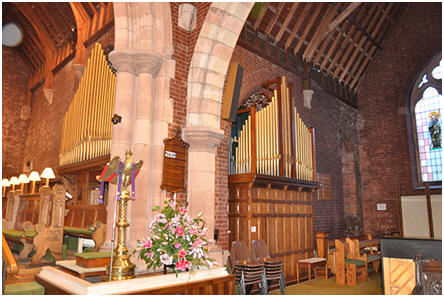 Organ
